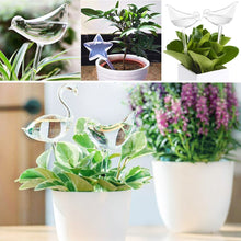 Lade das Bild in den Galerie-Viewer, Automatische Bewässerung für Pflanzen🌱