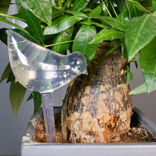 Lade das Bild in den Galerie-Viewer, Automatische Bewässerung für Pflanzen🌱