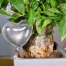 Lade das Bild in den Galerie-Viewer, Automatische Bewässerung für Pflanzen🌱