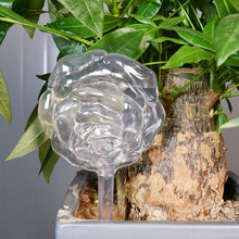 Lade das Bild in den Galerie-Viewer, Automatische Bewässerung für Pflanzen🌱